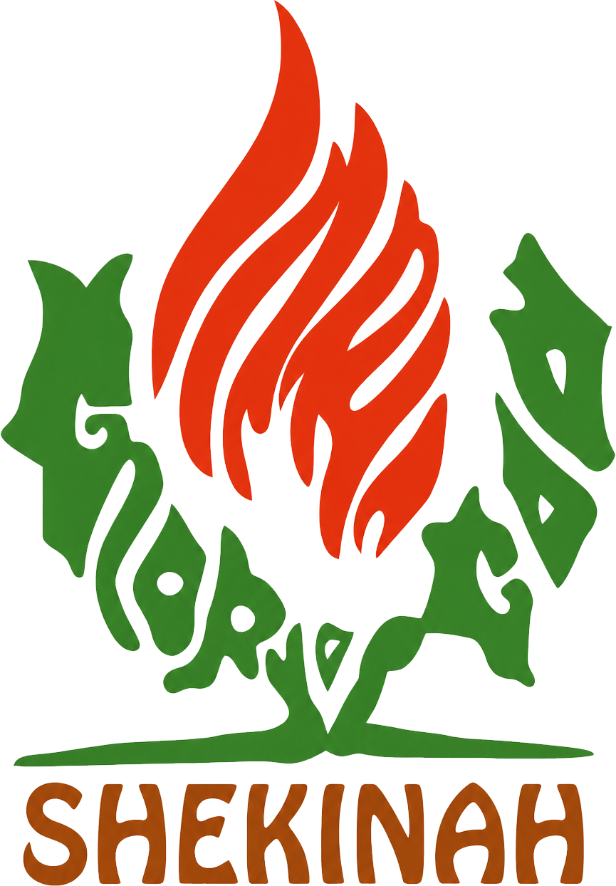 Logo Shekinah